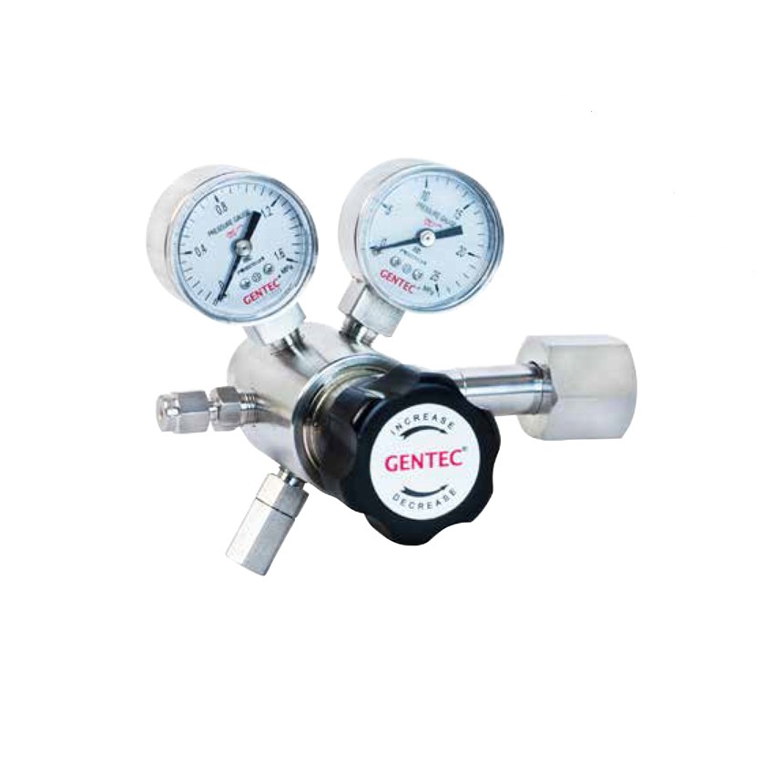 R30SL系列不锈钢特气减压器