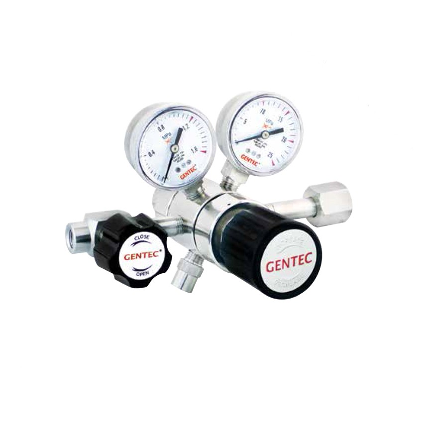 R31B系列铜电镀双极式特气减压器